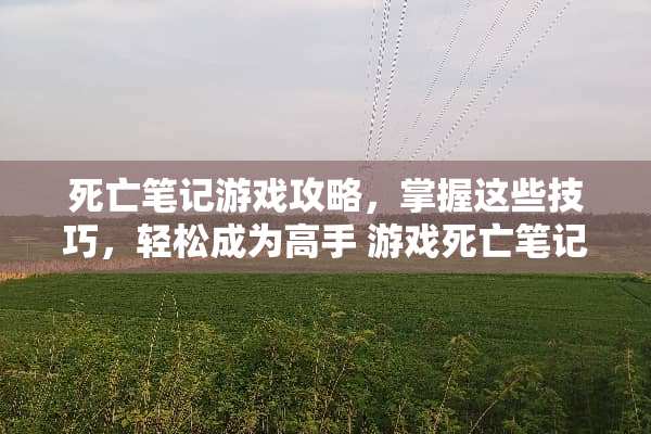 死亡笔记游戏攻略，掌握这些技巧，轻松成为高手 游戏死亡笔记攻略