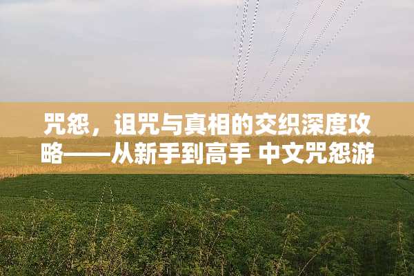 咒怨，诅咒与**的交织深度攻略——从新手到高手 中文咒怨游戏攻略