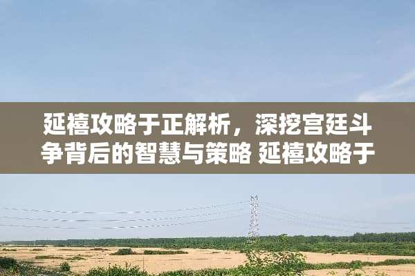 延禧攻略于正解析，深挖宫廷斗争背后的智慧与策略 延禧攻略于正