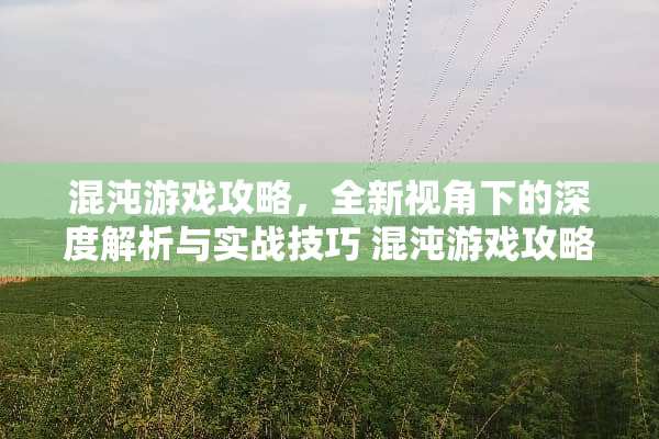 混沌游戏攻略，全新视角下的深度解析与实战技巧 混沌游戏攻略