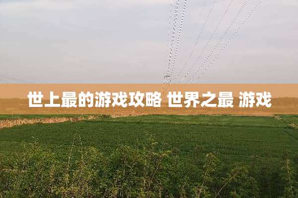 世上最的游戏攻略 世界之最 游戏