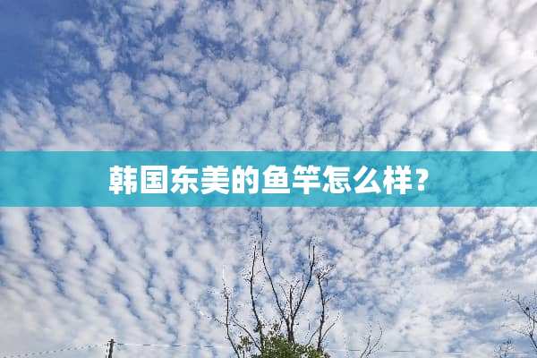 韩国东美的鱼竿怎么样？
