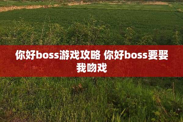 你好boss游戏攻略 你好boss要娶我吻戏