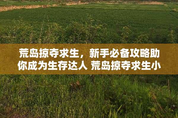 荒岛掠夺求生，新手必备攻略助你成为生存达人 荒岛掠夺求生小游戏攻略