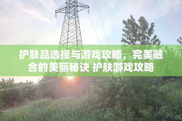 护肤品选择与游戏攻略，完美融合的美丽秘诀 护肤游戏攻略