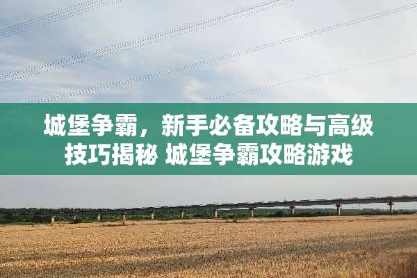 城堡争霸，新手必备攻略与高级技巧揭秘 城堡争霸攻略游戏
