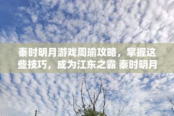 秦时明月游戏周瑜攻略，掌握这些技巧，成为江东之霸 秦时明月游戏周瑜攻略