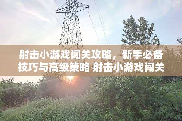 射击小游戏闯关攻略，新手必备技巧与高级策略 射击小游戏闯关攻略