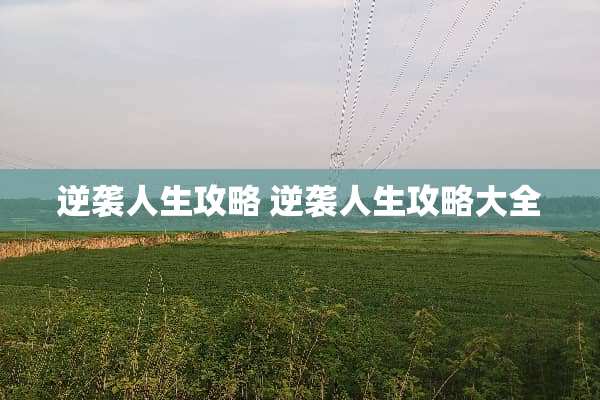 逆袭人生攻略 逆袭人生攻略大全