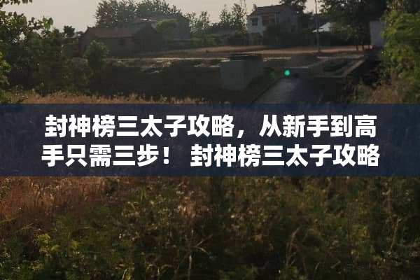 封神榜三太子攻略，从新手到高手只需三步！ 封神榜三太子攻略