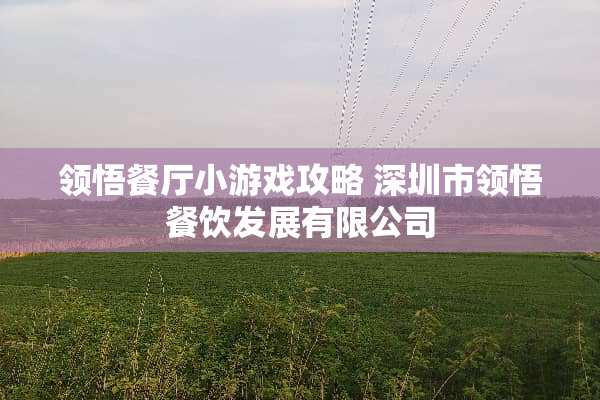 领悟餐厅小游戏攻略 深圳市领悟餐饮发展有限公司