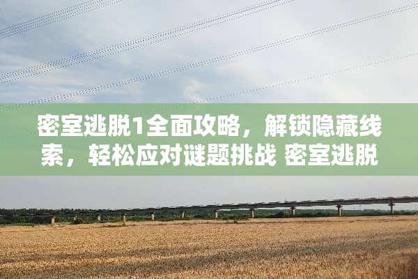 密室逃脱1全面攻略，解锁隐藏线索，轻松应对谜题挑战 密室逃脱1攻略