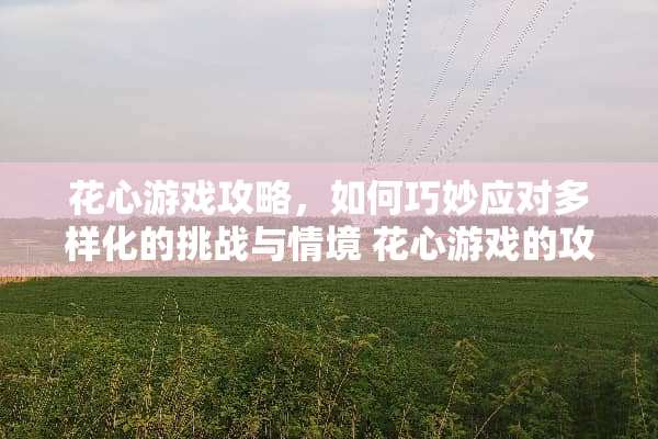 花心游戏攻略，如何巧妙应对多样化的挑战与情境 花心游戏的攻略