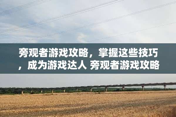 旁观者游戏攻略，掌握这些技巧，成为游戏达人 旁观者游戏攻略