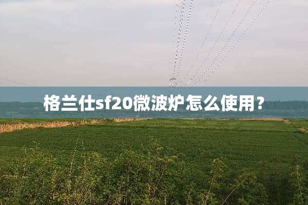 格兰仕sf20微波炉怎么使用？