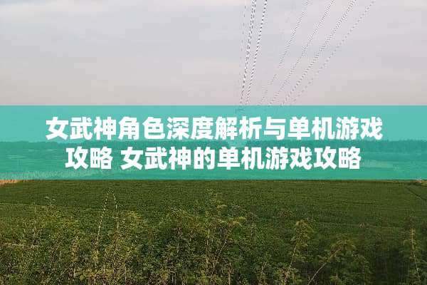 女武神角色深度解析与单机游戏攻略 女武神的单机游戏攻略
