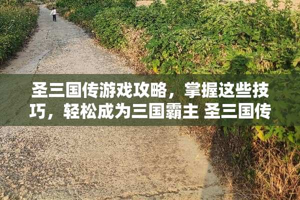 圣三国传游戏攻略，掌握这些技巧，轻松成为三国霸主 圣三国传攻略