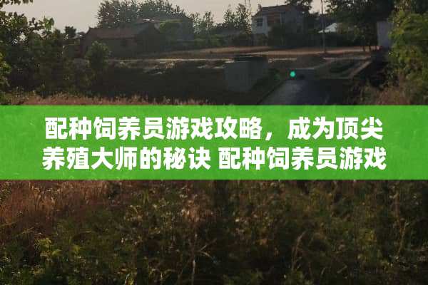配种饲养员游戏攻略，成为顶尖养殖大师的秘诀 配种饲养员游戏攻略