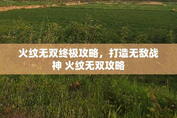 火纹无双终极攻略，打造无敌战神 火纹无双攻略