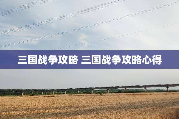三国战争攻略 三国战争攻略心得