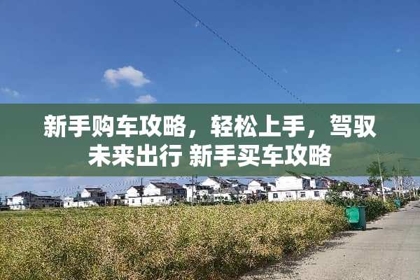 新手购车攻略，轻松上手，驾驭未来出行 新手买车攻略