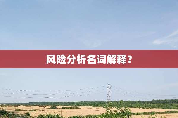 风险分析名词解释？