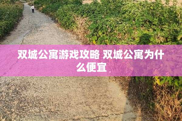 双城公寓游戏攻略 双城公寓为什么便宜