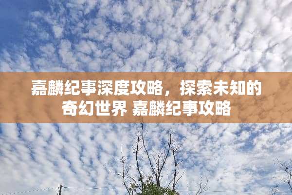 嘉麟纪事深度攻略，探索未知的奇幻世界 嘉麟纪事攻略