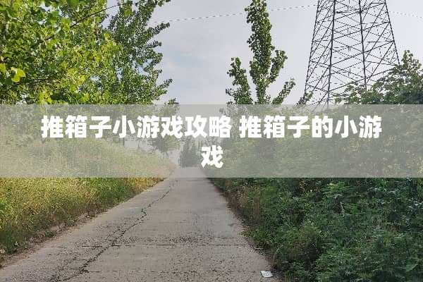 推箱子小游戏攻略 推箱子的小游戏