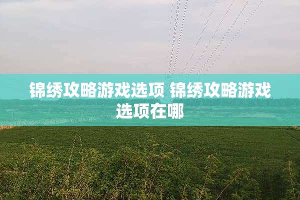 锦绣攻略游戏选项 锦绣攻略游戏选项在哪