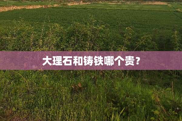 大理石和铸铁哪个贵？