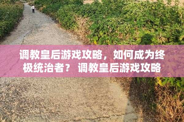 **皇后游戏攻略，如何成为终极统治者？ **皇后游戏攻略