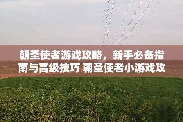 朝圣使者游戏攻略，新手必备指南与高级技巧 朝圣使者小游戏攻略