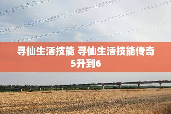寻仙生活技能 寻仙生活技能传奇5升到6
