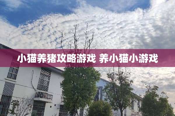 小猫养猪攻略游戏 养小猫小游戏