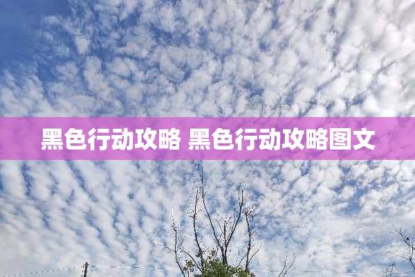黑色行动攻略 黑色行动攻略图文