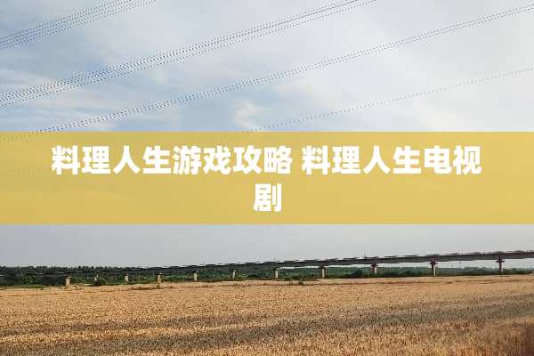 料理人生游戏攻略 料理人生电视剧