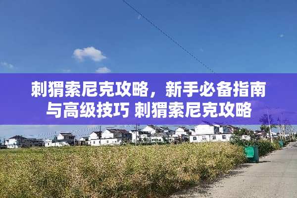 刺猬索尼克攻略，新手必备指南与高级技巧 刺猬索尼克攻略