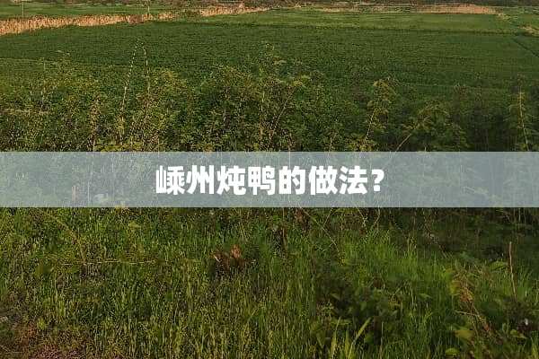 嵊州炖鸭的做法？