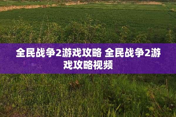 全民战争2游戏攻略 全民战争2游戏攻略视频