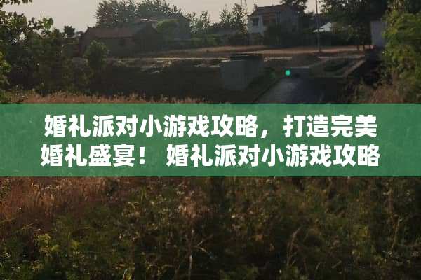 婚礼派对小游戏攻略，打造完美婚礼盛宴！ 婚礼派对小游戏攻略