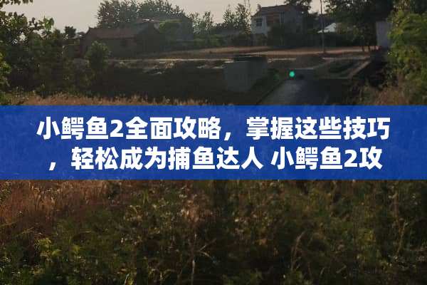 小鳄鱼2全面攻略，掌握这些技巧，轻松成为捕鱼达人 小鳄鱼2攻略
