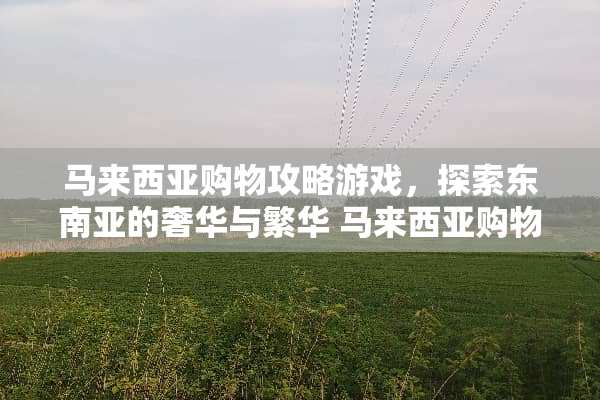 马来西亚购物攻略游戏，探索东南亚的奢华与繁华 马来西亚购物攻略游戏