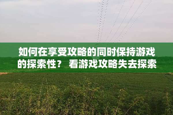 如何在享受攻略的同时保持游戏的探索性？ 看游戏攻略失去探索感