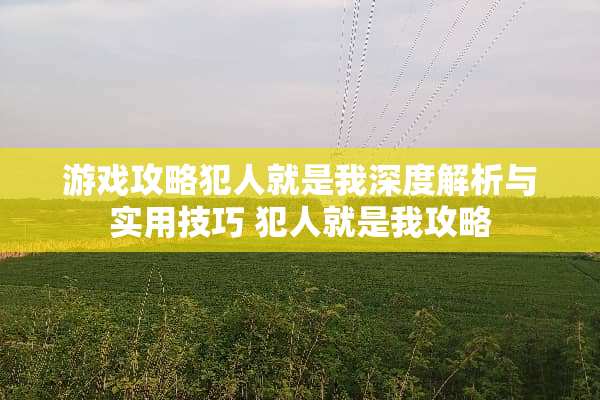 游戏攻略犯人就是我深度解析与实用技巧 犯人就是我攻略