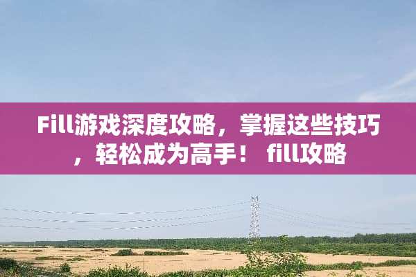 Fill游戏深度攻略，掌握这些技巧，轻松成为高手！ fill攻略