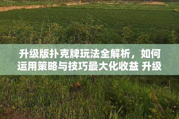 升级版扑克牌玩法全解析，如何运用策略与技巧最大化收益 升级扑克牌的玩法
