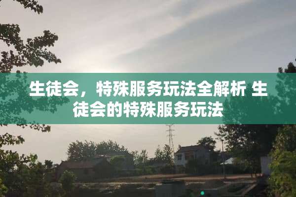 生徒会，特殊服务玩法全解析 生徒会的特殊服务玩法
