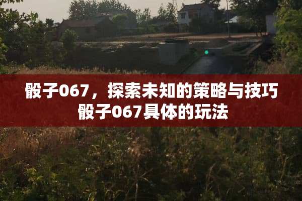 **067，探索未知的策略与技巧 **067具体的玩法