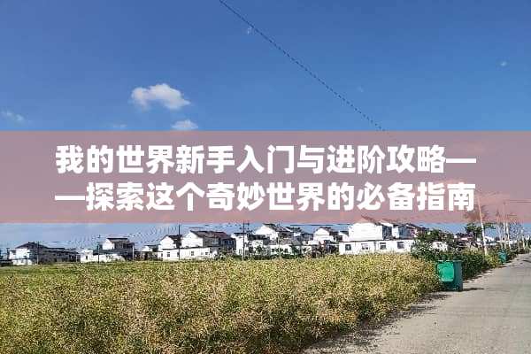 我的世界新手入门与进阶攻略——探索这个奇妙世界的必备指南 我的世界新手攻略